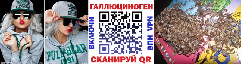 даркнет сайт Тимашёвск Псилоцибиновые грибы GOLDEN TEACHER